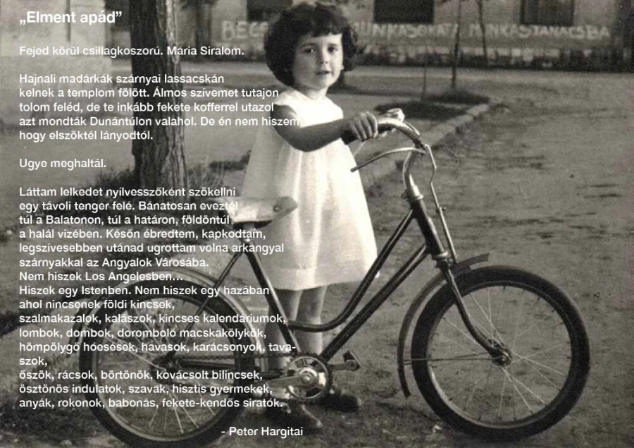 The poem titled “Your Father Is Gone”