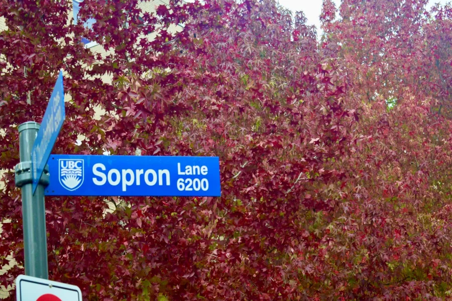 Sopron Lane on the university campus